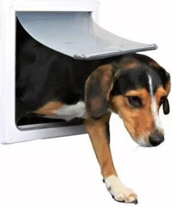 Trixie 2-Weg Hondenluik Wit - XS-S 25 X 29 CM -Huisdierbenodigdheden 1000x1200 1