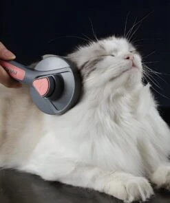 Pakeway T9 - Kattenborstel - Zelfreinigende Kattenkam - Groen - Massageborstel - 19,3 Cm -Huisdierbenodigdheden 1005x1200