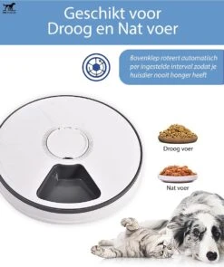 PetFriends Automatische Voerbak Voor Hond En Kat - Incl. Batterijen - Voerautomaat Met 6 Compartimenten - 24 Uurs Timer - Elektrische Voederbak -Huisdierbenodigdheden 1005x1200 3