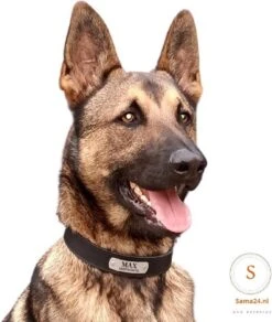 Honden Halsband Met Naam En Telefoonnummer - Leer 100% - Hondenhalsband Met ID TAG - Maat M -Huisdierbenodigdheden 1015x1200 5