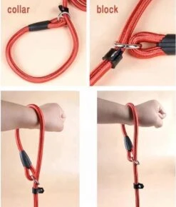 LOUZIR Cesar Millan Sliplijn Met Stop - Hondenriem - Rood - 130 Cm -Huisdierbenodigdheden 1023x1200