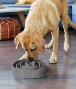 Outward Hound Slo Bowl Fun Feeder Voerbak - Anti Schrok Voerbak - Voerbak Slo-Bowl Mini Drop Teal Lichtblauw - 22X22X5 CM -Huisdierbenodigdheden 1030x1200 1