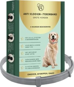 2 Stuks Vlooienband Grote Hond Tekenband - 100% Natuurlijk Veilig Diervriendelijk - 8 Maanden Werkzaam