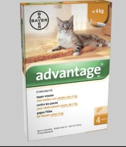 Advantage 40 Vlooiendruppels Kat Tot 4 Kg - 4 Pipetten