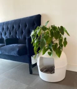 XXL Kattenbak – Verborgen Kattentoilet – Flower XXL Wit Voor Grote Katten Van RHRQuality -Huisdierbenodigdheden 1041x1200 1