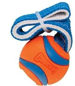 Chuckit! Chuckit Ultra Tug – Hondenspeelgoed - Blauw/Oranje – Large - ø 7 Cm -Huisdierbenodigdheden 1042x1200 6