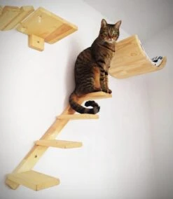 Kattentrap Hout - Linksonder Naar Rechtsboven - Handgemaakte Kattenladder - Katten Klimmuur Klimwand -Huisdierbenodigdheden 1045x1200 3