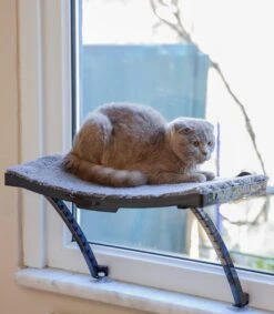 Hobipets - Kattenmand Raam - 5 Zuignappen - Hangmat Kat Raam -Huisdierbenodigdheden 1049x1200 13