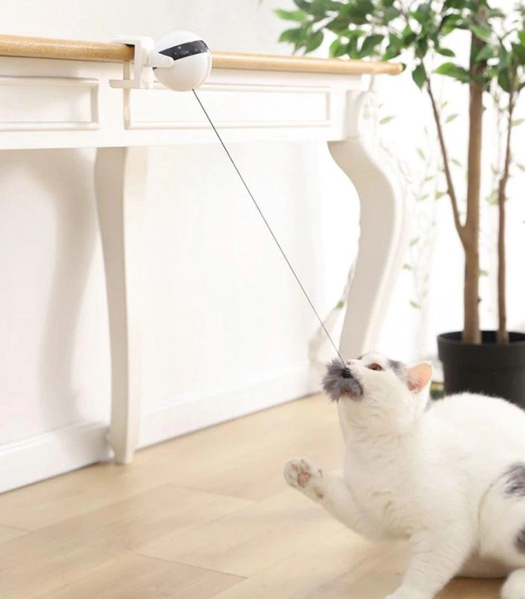 Merkloos Kattenspeelgoed - Katten Speelgoed - Katten Speeltje - Katten Bal - Katten - Kattenhengel - Kitten Speelgoed - Kattenspeeltjes - Elektrische - Muis - Automatische Hengel - Bal - Poes - Katten - Prooi - Kat - Poesjes - Interactief Kattenspeelgoed 2 Merkloos Kattenspeelgoed - Katten Speelgoed - Katten Speeltje - Katten Bal - Katten - Kattenhengel - Kitten Speelgoed - Kattenspeeltjes - Elektrische - Muis - Automatische Hengel - Bal - Poes - Katten - Prooi - Kat - Poesjes - Interactief Kattenspeelgoed - Afbeelding 2