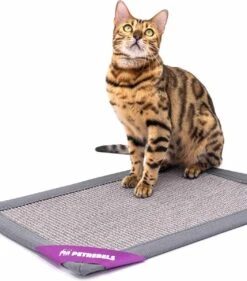 Petrebels Mastermat 60 Katten Krabmat - Grijs - 60 X 40 Cm - Zeer Sterk 19 Petrebels Mastermat 60 Katten Krabmat - Grijs - 60 X 40 Cm - Zeer Sterk -Huisdierbenodigdheden 1053x1200 13