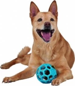 JW HOL-EE ROLLER – Hondenbal Rubber – 15 Cm - Large - 1 Stuk -Huisdierbenodigdheden 1053x1200 7