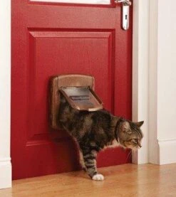 Petsafe Kattenluik 400 - Wit 21 Petsafe Kattenluik 400 - Wit -Huisdierbenodigdheden 1069x1200 11