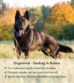 Gedrag In Balans - Hond (tot 30kg) - O.a. Bij Stress En Angst - 45 Tabletten A 400mg -Huisdierbenodigdheden 1071x1200 4