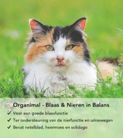 Organimal - Blaas En Nieren In Balans - Kat - O.a. Bij Blaasontsteking En Blaasgruis - 45 Tabletten A 700mg -Huisdierbenodigdheden 1071x1200 6
