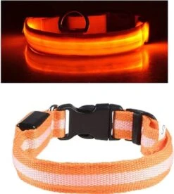 IGOODS Oranje LED Hondenhalsband - Verlichte Halsband Voor Honden - LED Hondenriem - Halsband LED