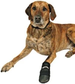 Trixie Walker Care Beschermschoenen Zwart 2 Stuks (L 18X9 CM) -Huisdierbenodigdheden 1077x1200 2