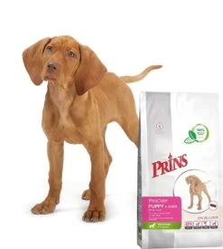 Prins Procare Daily Care Graanvrij - Hondenvoer - 7,5 Kg -Huisdierbenodigdheden 1078x1200 5