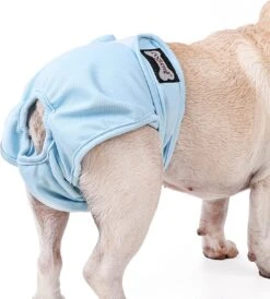 Loopsheidbroekje - Blauw - Maat M - Hondenbroekje - Loopsheid - Diverse Maten - Voor Grote En Kleine Honden -Huisdierbenodigdheden 1083x1200 10