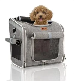 Hondenfietsmand - Draagtas Hond- Draagtas Kat- Reistas - Hondenrugzak - 8KG - Fietsmand Voorop - Waterproof - Opvouwbaar