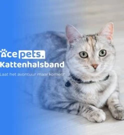 ACE Pets Reflecterende Kattenhalsband Met Veiligheidssluiting – Halsband Kat & Kitten - Met Adreskoker - Kittenhalsband & Kattenbandje Met Belletje - Geschikt Voor Apple Airtag - Zwart -Huisdierbenodigdheden 1096x1200 6