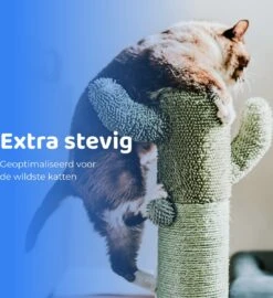 ACE Pets Reflecterende Kattenhalsband Met Veiligheidssluiting – Halsband Kat & Kitten - Met Adreskoker - Kittenhalsband & Kattenbandje Met Belletje - Zwart -Huisdierbenodigdheden 1099x1200 10