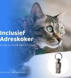 ACE Pets Reflecterende Kattenhalsband Met Veiligheidssluiting – Halsband Kat & Kitten - Met Adreskoker - Kittenhalsband & Kattenbandje Met Belletje - Zwart -Huisdierbenodigdheden 1099x1200 11