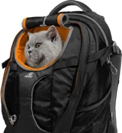 Hondenrugzak Voor Kleine Honden Met Diverse Opbergvakken - Voor Honden Tot 11 Kg - Kurgo G-train K9 - 33x53x25cm - Black -Huisdierbenodigdheden 1101x1200 2