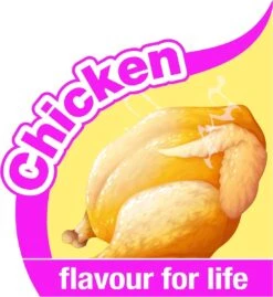 Nylabone Harde Bijters Kluif - Kip - Voor Honden Tot 15 Kg 18 Nylabone Harde Bijters Kluif - Kip - Voor Honden Tot 15 Kg -Huisdierbenodigdheden 1102x1200 5