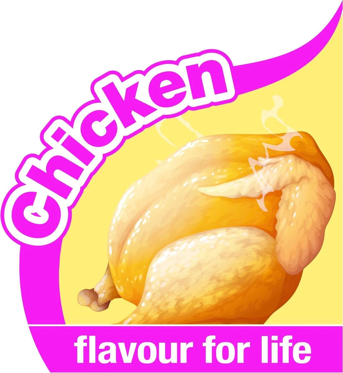 Nylabone Harde Bijters Kluif - Kip - Voor Honden Tot 15 Kg 6 Nylabone Harde Bijters Kluif - Kip - Voor Honden Tot 15 Kg - Afbeelding 6