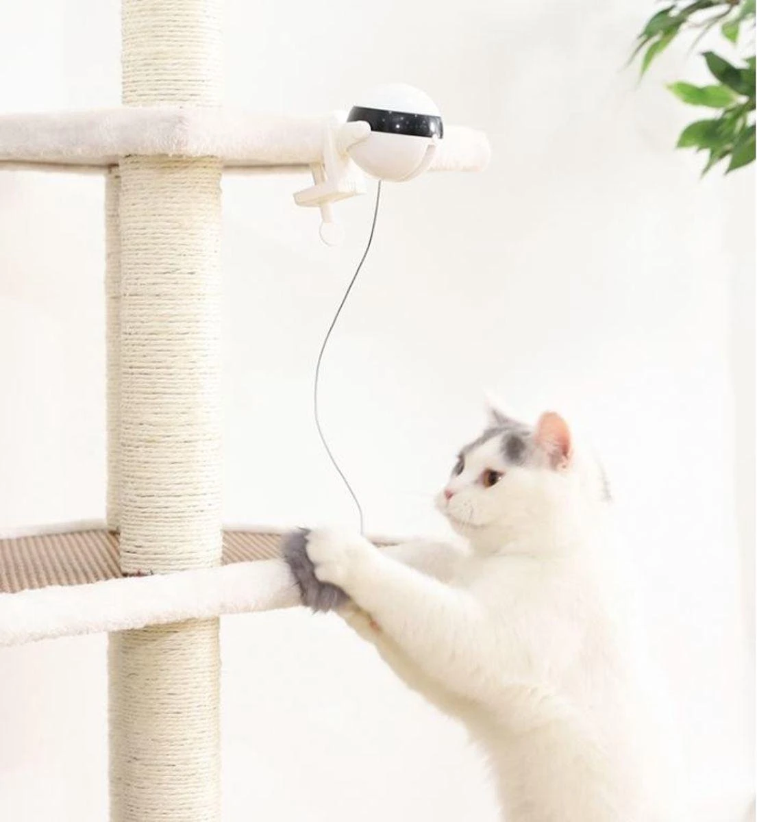 Merkloos Kattenspeelgoed - Katten Speelgoed - Katten Speeltje - Katten Bal - Katten - Kattenhengel - Kitten Speelgoed - Kattenspeeltjes - Elektrische - Muis - Automatische Hengel - Bal - Poes - Katten - Prooi - Kat - Poesjes - Interactief Kattenspeelgoed 6 Merkloos Kattenspeelgoed - Katten Speelgoed - Katten Speeltje - Katten Bal - Katten - Kattenhengel - Kitten Speelgoed - Kattenspeeltjes - Elektrische - Muis - Automatische Hengel - Bal - Poes - Katten - Prooi - Kat - Poesjes - Interactief Kattenspeelgoed - Afbeelding 6