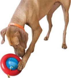 Kong-hondenspeelgoed-slowfeeder-voerdispenser- Gyro- Maat L -Huisdierbenodigdheden 1105x1200 5