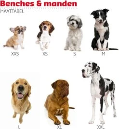 Adori Vetbed Basic - Dierendeken - Grijs - 122 X 75 Cm 5 Adori Vetbed Basic - Dierendeken - Grijs - 122 X 75 Cm -Huisdierbenodigdheden 1115x1200 3