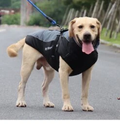 Nixnix - Honden Jas - Maat 5XL - Hondenjas - Kleine Hond - Grote Hond - Waterafstotend - Gevoerd Met Rits - Warme Hondenjas -Huisdierbenodigdheden 1124x1200 11