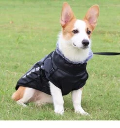 Nixnix - Honden Jas - Maat 5XL - Hondenjas - Kleine Hond - Grote Hond - Waterafstotend - Gevoerd Met Rits - Warme Hondenjas -Huisdierbenodigdheden 1128x1200 8