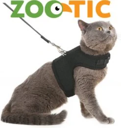 Kattentuigje Met Leiband Riem Kattenharnas Donker Blauw Maat L Kat & Kitten - Dieren Kattenriem - Cat Leash - Halsomvang 24 Tot 33cm - Borstomvang 36 Tot 41cm - Zootic® -Huisdierbenodigdheden 1135x1200 12