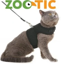 Zootic Kattentuigje Met Leiband Riem Kattenharnas Zwart Maat M Kat & Kitten - Halsomvang 20 Tot 26cm - Borstomvang 30 Tot 34cm 10 Zootic Kattentuigje Met Leiband Riem Kattenharnas Zwart Maat M Kat & Kitten - Halsomvang 20 Tot 26cm - Borstomvang 30 Tot 34cm -Huisdierbenodigdheden 1135x1200 15