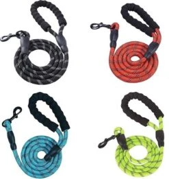 Merkloos Hondenriem - Reflecterende Hondenriem - Rood -Huisdierbenodigdheden 1136x1200