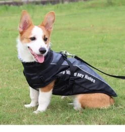 Nixnix - Honden Jas - Maat 4XL - Hondenjas - Kleine Hond - Grote Hond - Waterafstotend - Gevoerd Met Rits - Warme Hondenjas -Huisdierbenodigdheden 1136x1200 8