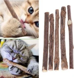 Matatabi Kauwstaafjes Voor Katten - 5x Matabi Stokjes - Kattenspeelgoed - 100% Natuurlijke Sticks - Plantaardig - Silver Vine Kauwstaven Voor Kittens - Kattenkruid Effect - Gebitsverzorging - 5 Stuks Vardaan Kauwstaven Voor Katten - XS - 11 Cm -Huisdierbenodigdheden 1143x1200 21