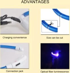 Merkloos LED Honden Halsband - VEILIGHEID - USB OplaadBaar - Geen Batterijen Nodig - Blauw 20 - 70 CM