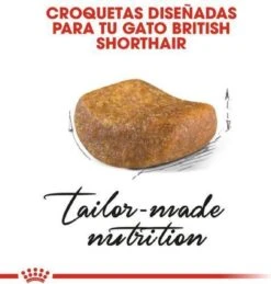 Royal Canin British Shorthair Adult - Kattenvoer - 2 Kg -Huisdierbenodigdheden 1146x1200 20