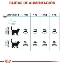 Royal Canin Urinary Care - Kattenvoer - 10 Kg -Huisdierbenodigdheden 1146x1200 22