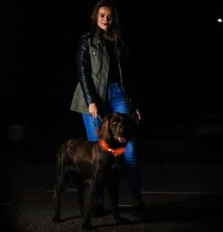 Led Dog Band USB | BEE SAFE -BLUE- | Dier Verlichting | Hondenband LED 13 Led Dog Band USB | BEE SAFE -BLUE- | Dier Verlichting | Hondenband LED -Huisdierbenodigdheden 1147x1200 8