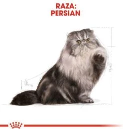 Royal Canin Persian Adult - Kattenvoer - 2 Kg -Huisdierbenodigdheden 1149x1200 12