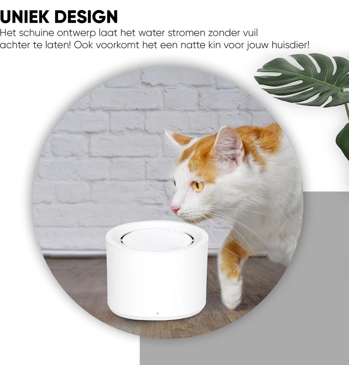 Petree Drinkfontein - Kat - Hond - Viervoudige Filtersysteem - UV-lamp - Drinkbakken - Dieren - Fluisterstil (1.8L) 3 Petree Drinkfontein - Kat - Hond - Viervoudige Filtersysteem - UV-lamp - Drinkbakken - Dieren - Fluisterstil (1.8L) - Afbeelding 3