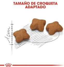 Royal Canin Kitten Sterilised - Kattenvoer - 3,5 Kg -Huisdierbenodigdheden 1151x1200 12