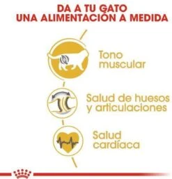 Royal Canin British Shorthair Adult - Kattenvoer - 2 Kg -Huisdierbenodigdheden 1154x1200 13