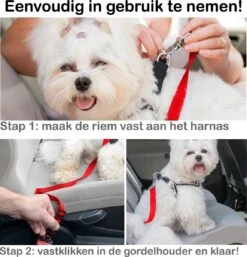 Hondenriem Autogordel Hondentuig Hondengordel Verstelbaar - Rood -Huisdierbenodigdheden 1154x1200 2