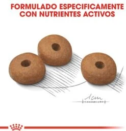 Royal Canin Light Weight Care Medium - Hondenvoer - 12 Kg -Huisdierbenodigdheden 1158x1200 12