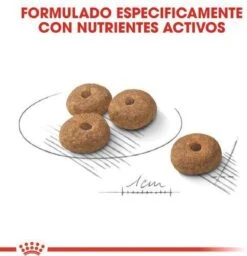 Royal Canin Mini Sterilised 8 KG -Huisdierbenodigdheden 1158x1200 13